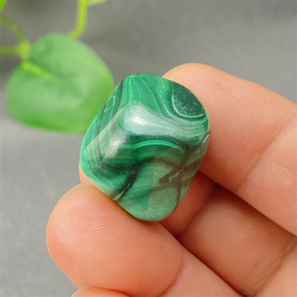 Green Malachite Tumbled Stone-ToShay.org