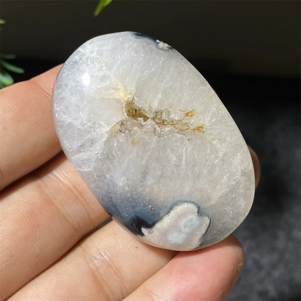 Black Flower Agate-ToShay.org