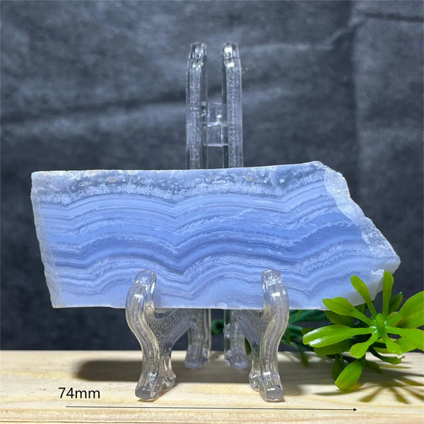 Blue Lace Agate Slice-ToShay.org