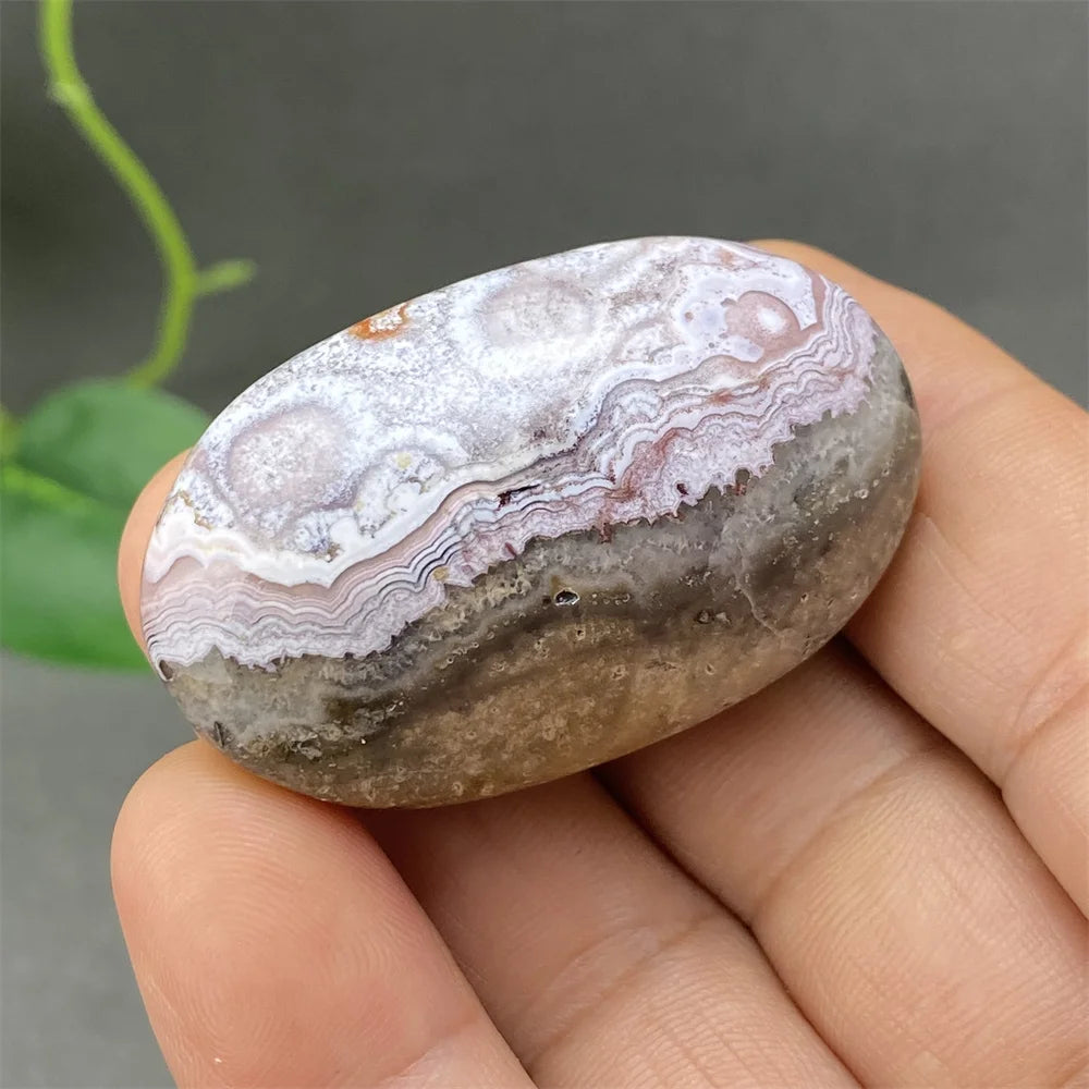 Red Lace Crazy Agate-ToShay.org