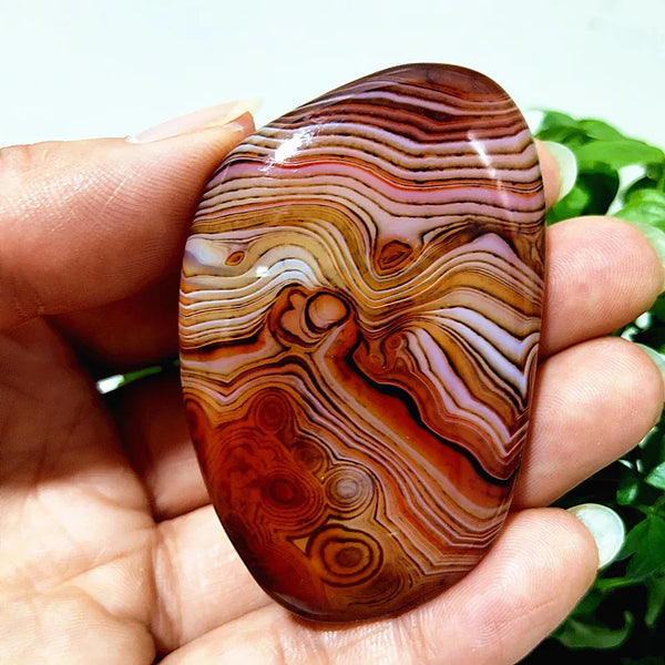Red Sardonyx Lace Agate-ToShay.org