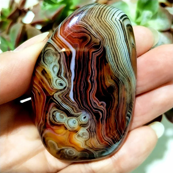 Red Lace Sardonyx Agate-ToShay.org