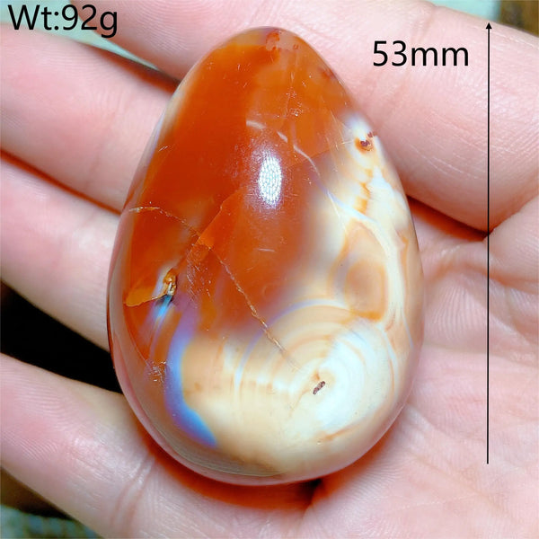 Orange Carnelian Egg-ToShay.org