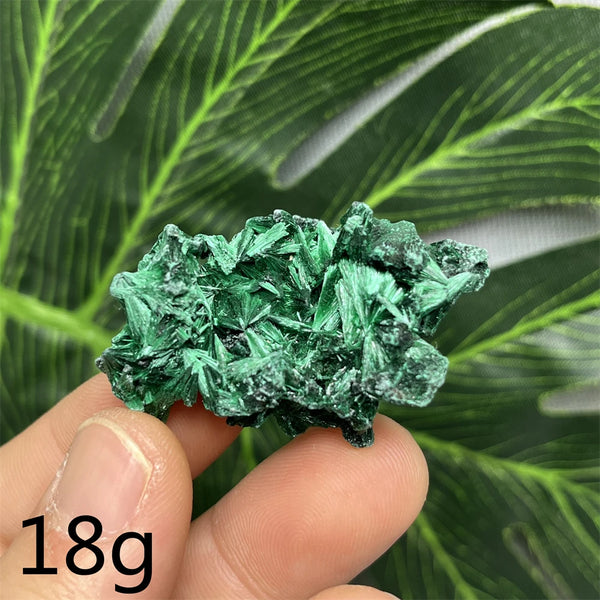 Green Malachite Silk Luster Crystal-ToShay.org