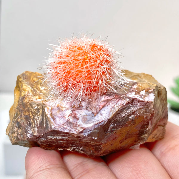 Orange Zeolite Cluster-ToShay.org