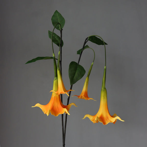 Lily Hanging Flowers-ToShay.org
