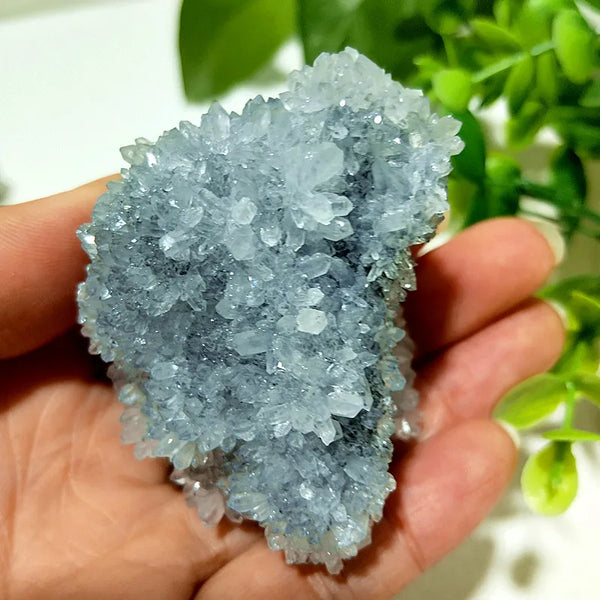 Blue Chrysanthemum Fluorite Cluster-ToShay.org
