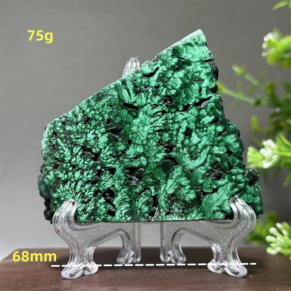 Green Malachite Slice-ToShay.org