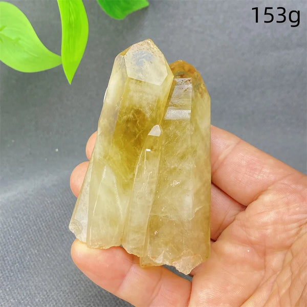 Yellow Black Smoky Quartz-ToShay.org