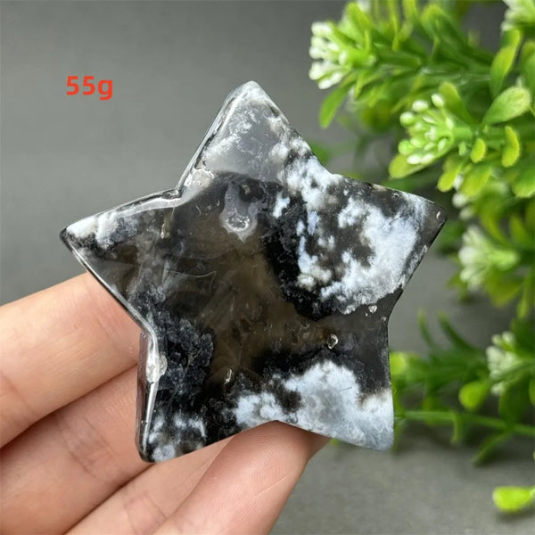 Black Cherry Blossom Agate-ToShay.org