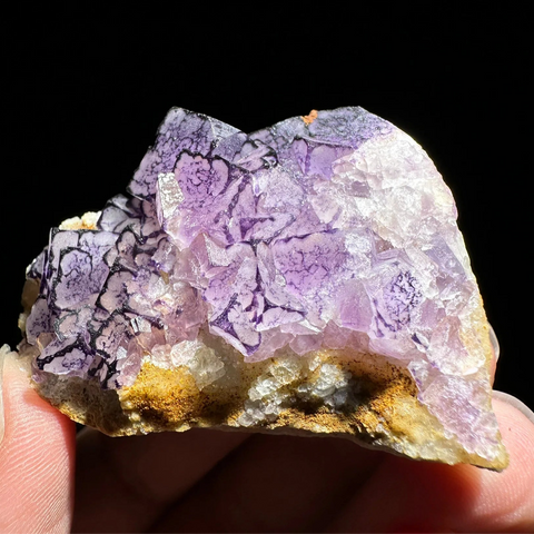 Purple Edge Fluorite-ToShay.org