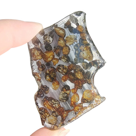 Olive Seymchan Pallasite Meteorite-ToShay.org