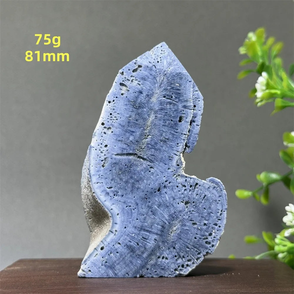 Blue Coral Crystal-ToShay.org