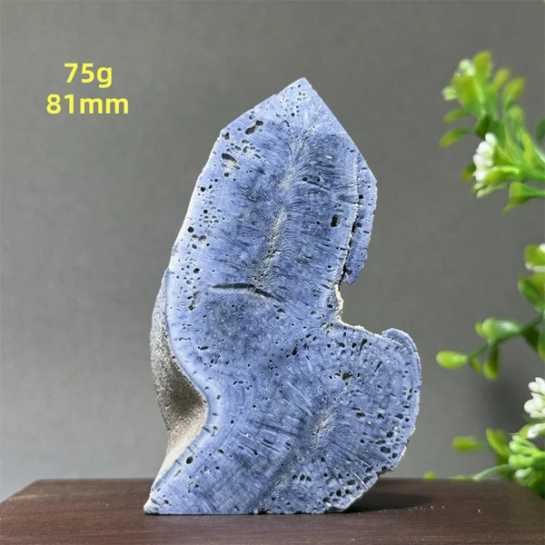 Blue Coral Crystal-ToShay.org