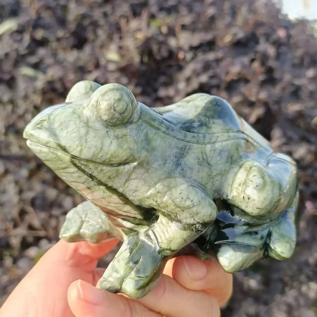 Green Jade Frog-ToShay.org