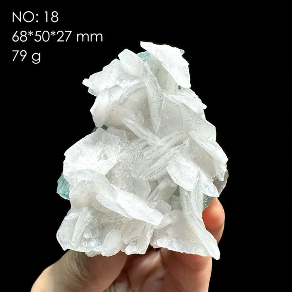 White Calcite Rose-ToShay.org