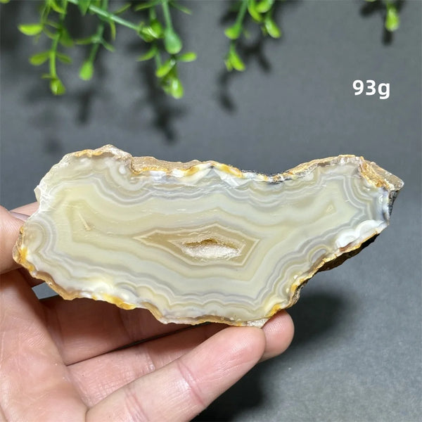 Yellow Agate Slice-ToShay.org