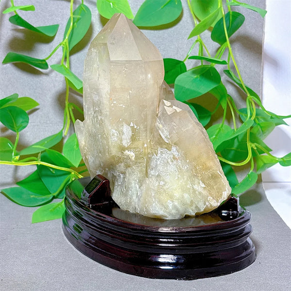 Clear Quartz Citrine Cluster-ToShay.org