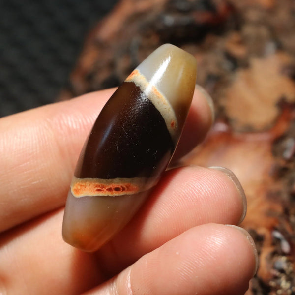 Tibetan Agate Eyes Dzi-ToShay.org