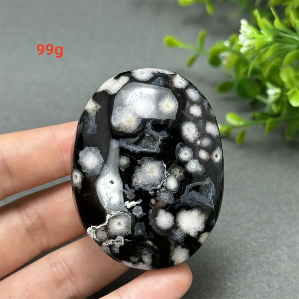 Black Cherry Blossom Agate-ToShay.org
