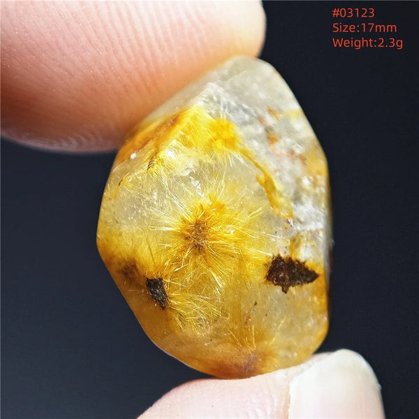 Gold Rutilated Quartz-ToShay.org