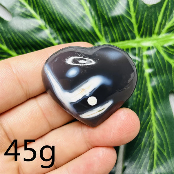 Black White Orca Agate-ToShay.org