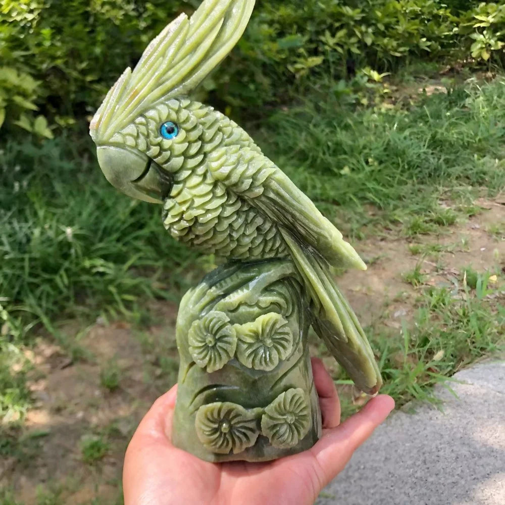 Green Jade Cockatiel Parrot-ToShay.org