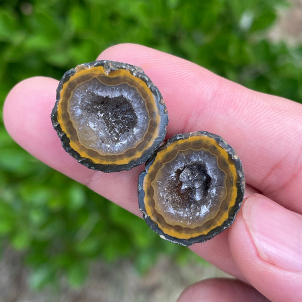 Mixed Agate Geode Eggs-ToShay.org