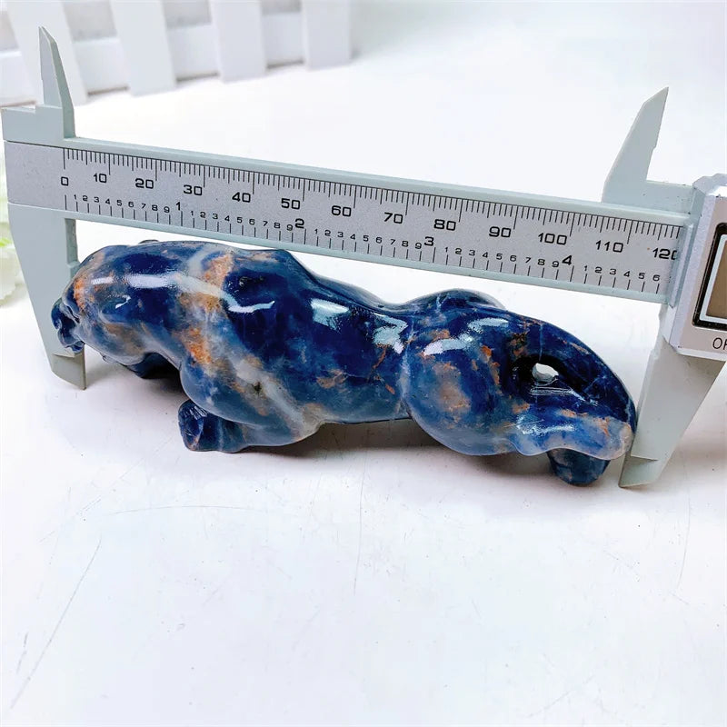 Blue Sodalite Cheetah-ToShay.org