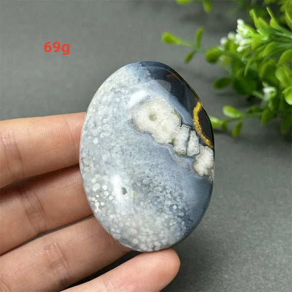 Black Cherry Blossom Agate-ToShay.org
