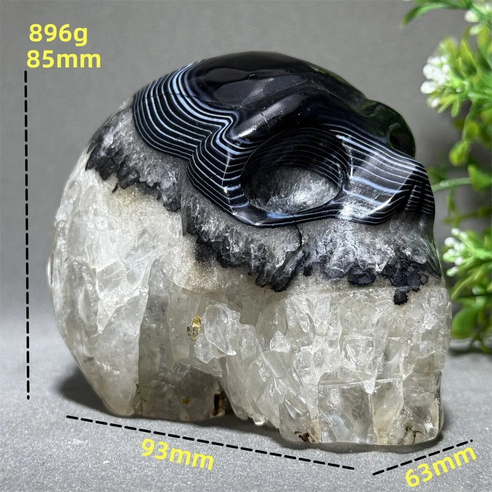 Black Agate Skull-ToShay.org