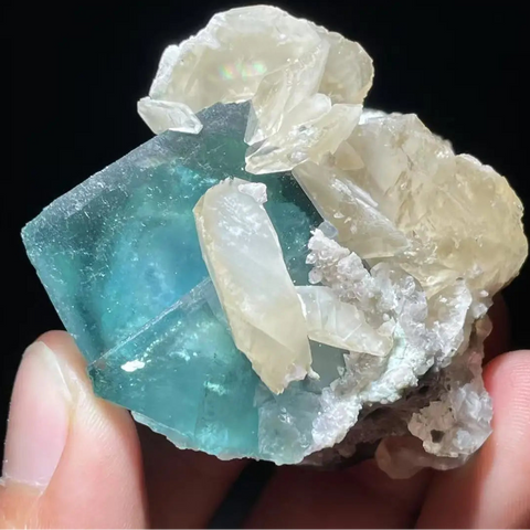 Blue Fluorite Cube Crystal-ToShay.org