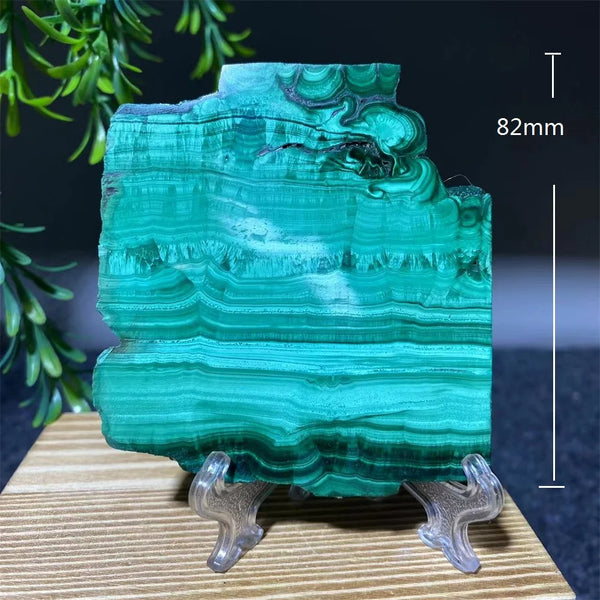 Green Malachite Slice-ToShay.org