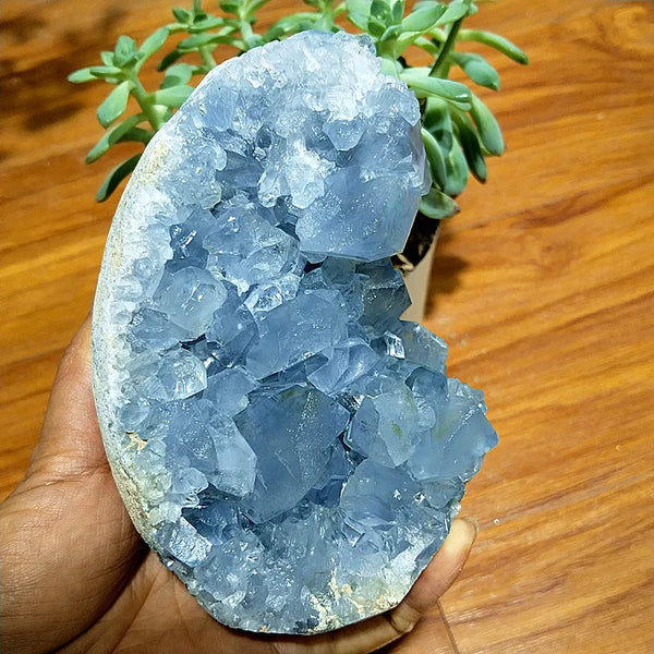 Blue Celestine Geode Crystal-ToShay.org