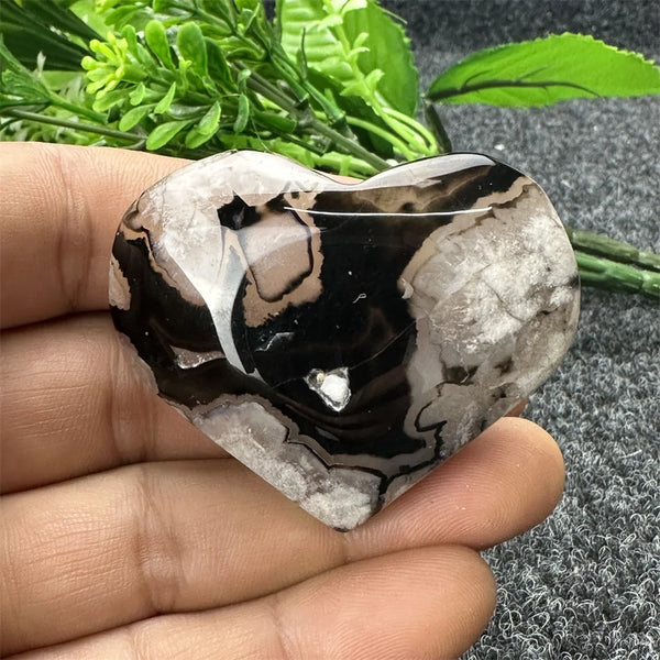 Black Cherry Blossom Agate-ToShay.org