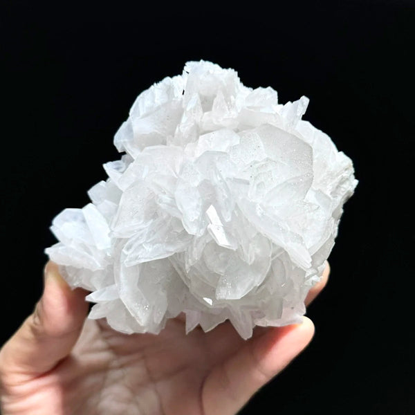 White Calcite Rose-ToShay.org