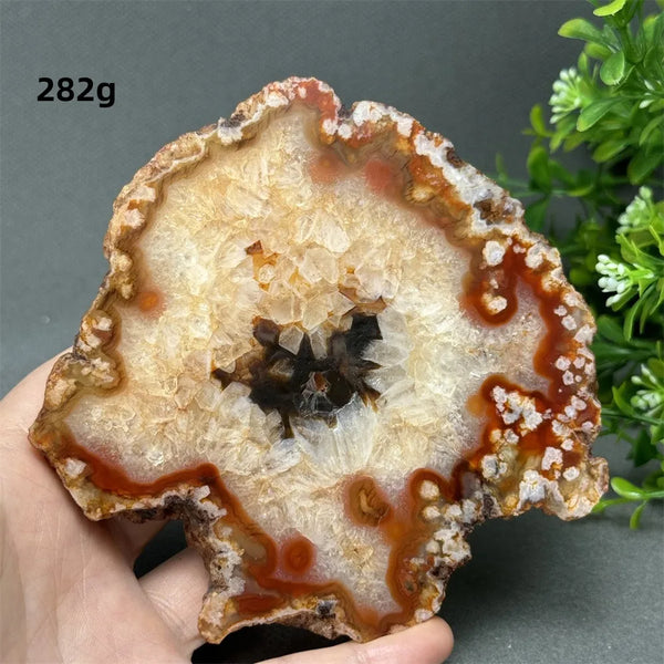 Red Cherry Blossom Agate-ToShay.org