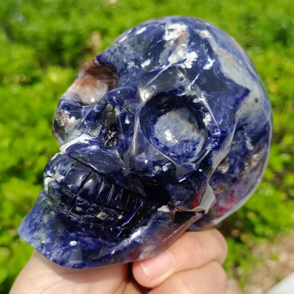 Blue Sodalite Skull-ToShay.org