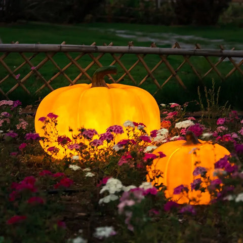 Pumpkin Garden Lights-ToShay.org