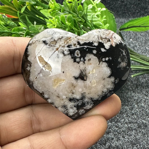 Black Cherry Blossom Agate-ToShay.org