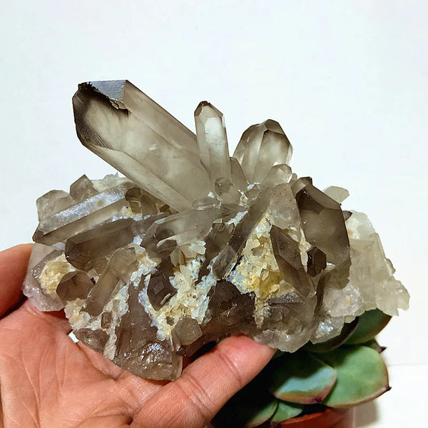 Smoky Quartz Crystal Cluster-ToShay.org