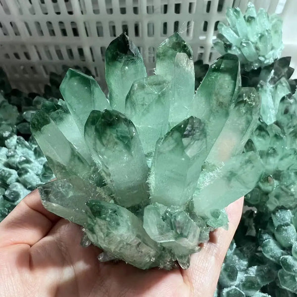 Green Citrine Quartz Crystal Cluster-ToShay.org