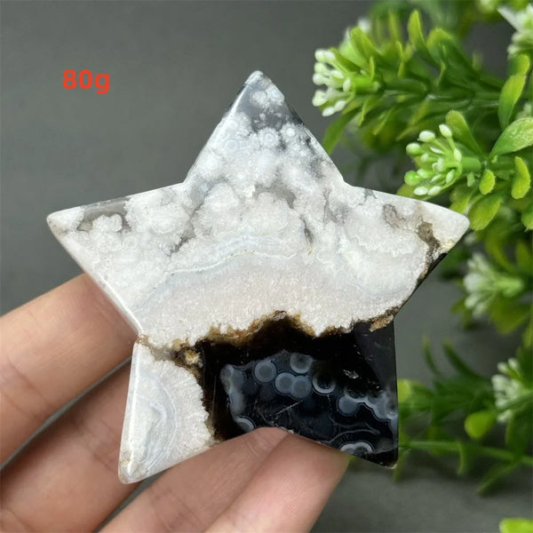 Black Cherry Blossom Agate-ToShay.org