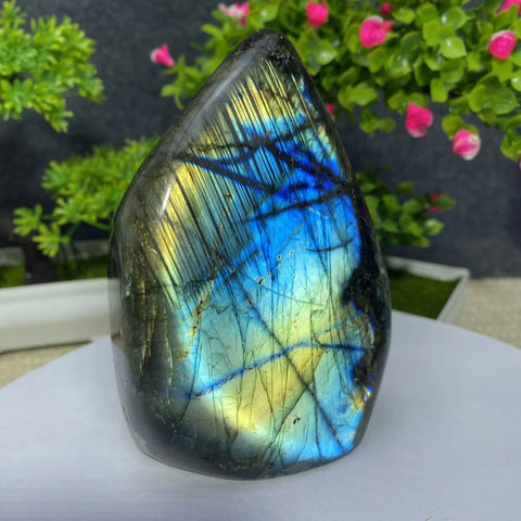 Blue Moonstone Labradorite Stone-ToShay.org