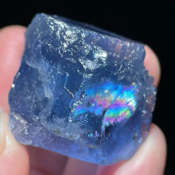 Blue Fluorite Pyrite Cluster-ToShay.org