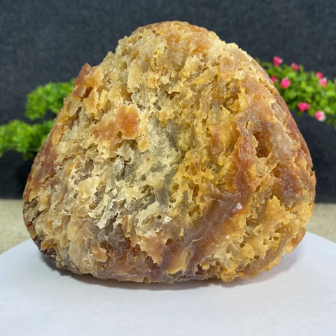 Yellow Honeycomb Agate-ToShay.org