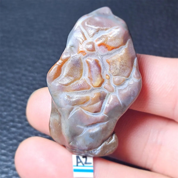 Mixed Agate Geode-ToShay.org