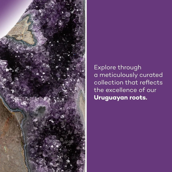 Purple Amethyst Geode-ToShay.org