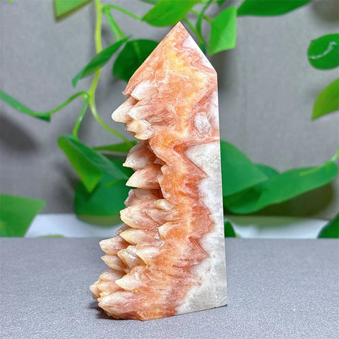 Orange Agate Tooth Cluster Point-ToShay.org