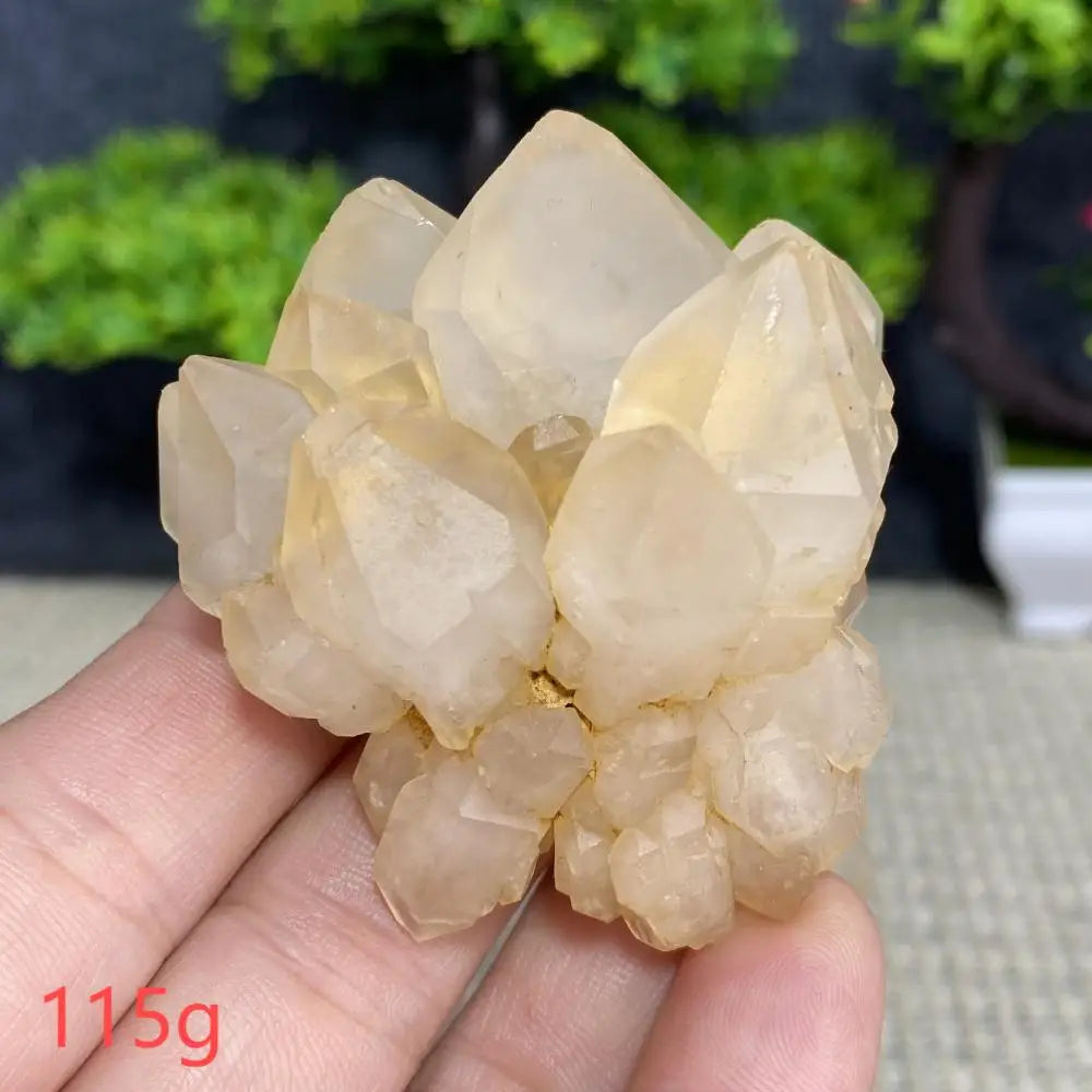White Quartz Crystal Cluster-ToShay.org